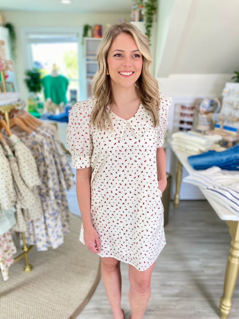 Ditsy Floral Print Peter Pan Collar Mini Dress